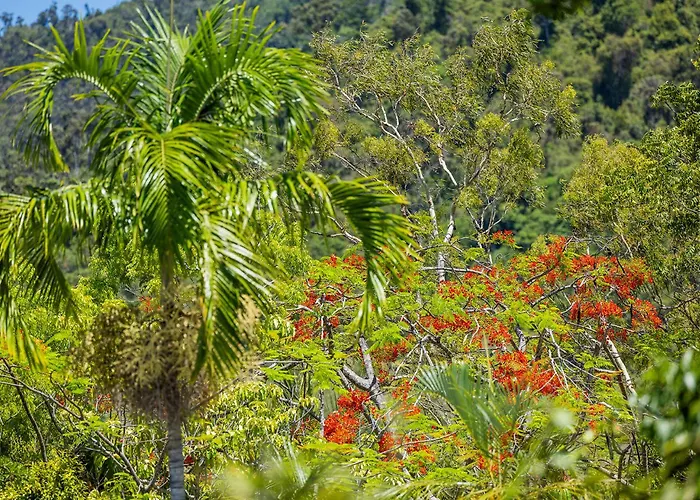 Kipara Tropical Rainforest Retreat